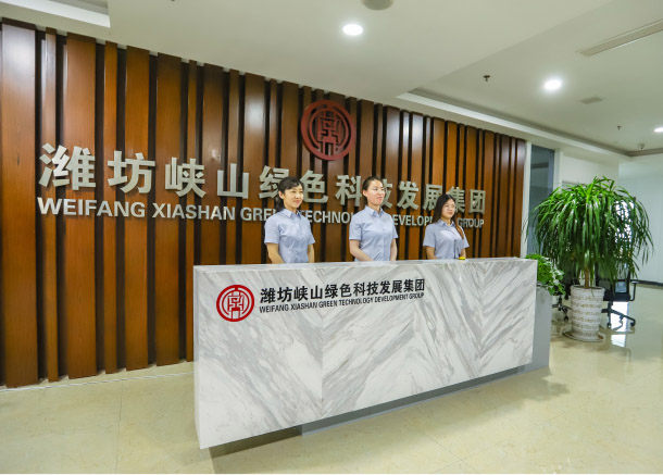 濰坊峽山綠色科技發(fā)展集團(tuán)成立